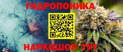 молекула духа Жуковский