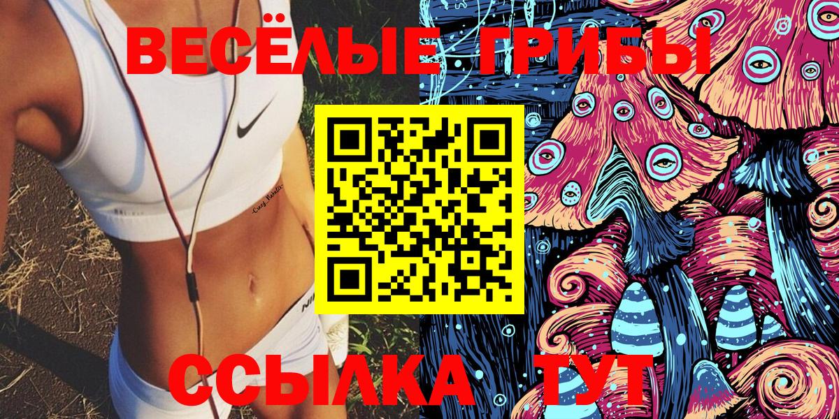 Галлюциногенные грибы Cubensis Медногорск