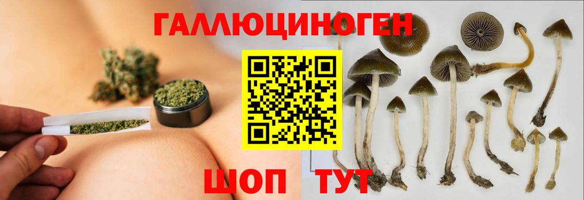 Галлюциногенные грибы Magic Shrooms  Вход с VPN  Медногорск 